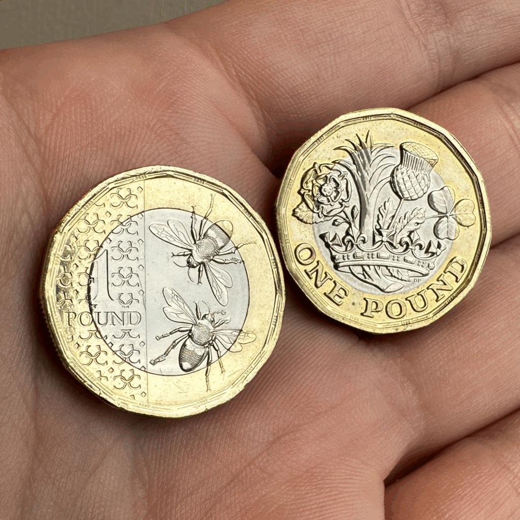 The 2025 Bee £1 – The UK’s Current Rarest Coin? image 1 1024x1024 - The 2025 Bee £1 – The UK’s Current Rarest Coin?