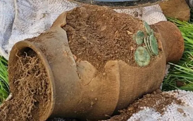 roman coins need to give attribution 2 - Britain’s Biggest Roman Coin Hoard? 🪙